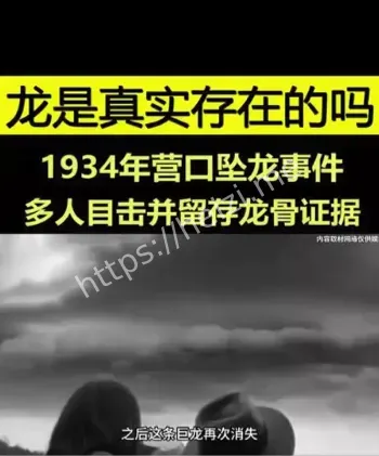 龙形骸骨