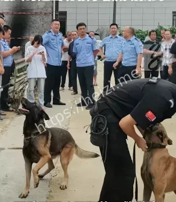 热成像技术