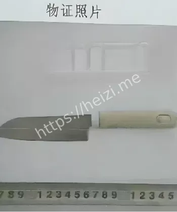 大连普兰店