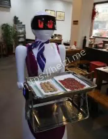 赛博机器人