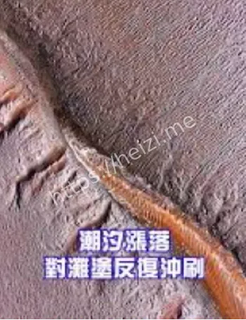 巨怪现身