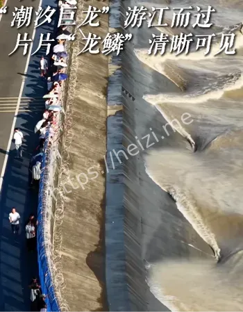 巨大未知生物