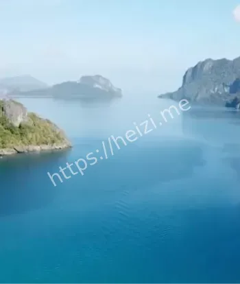 目击者惊恐
