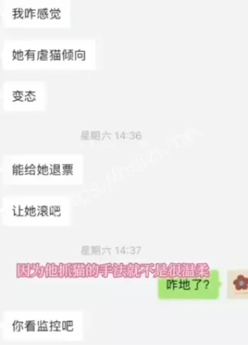 虐待动物