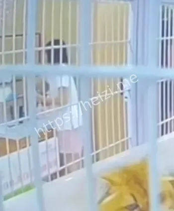 道德争议