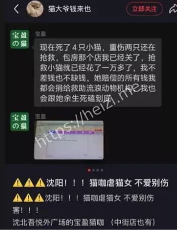 虐待动物
