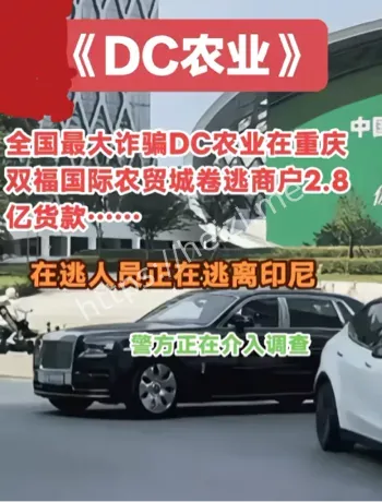 深圳点筹农业