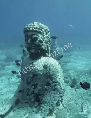 未解之谜探索