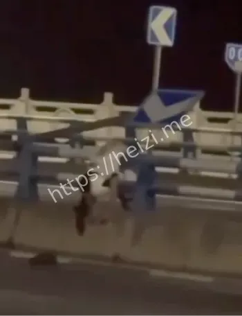 摩托车超速事故