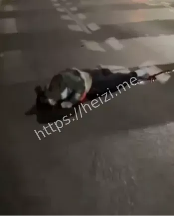 重庆江北飙车事故