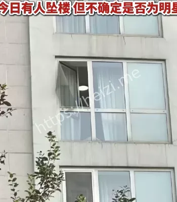娱乐圈悲剧