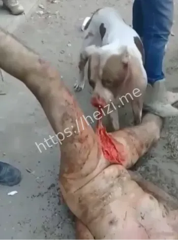 媒体伦理与血腥内容传播