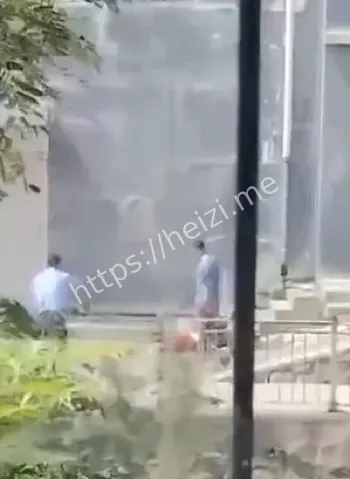 老李惨案家庭暴力