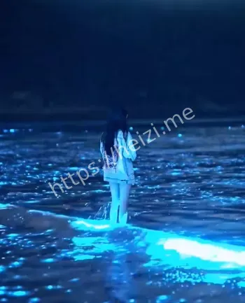 夜间荧光海滩奇景