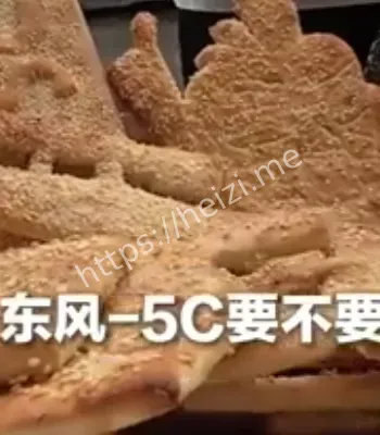 东风-5C烧饼