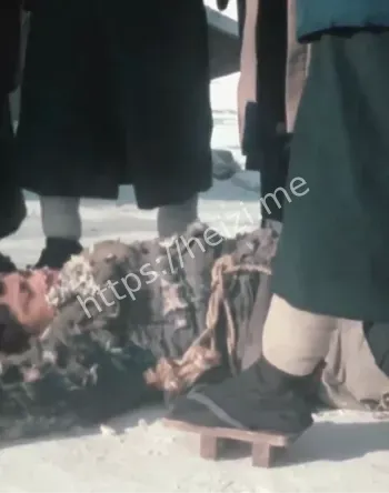 731魔鬼部队暴行曝光