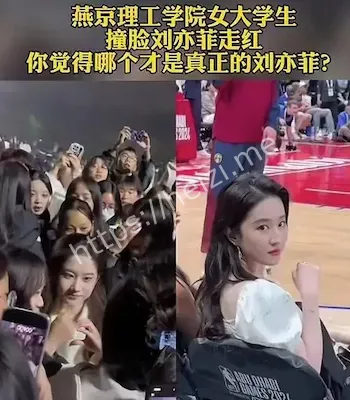 网红撞脸刘亦菲