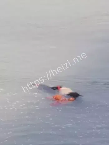 真爱讽刺
