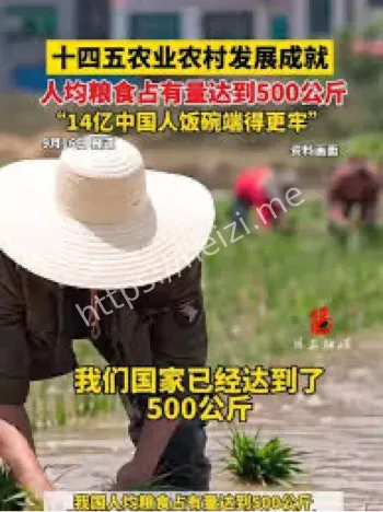 人均粮食500公斤