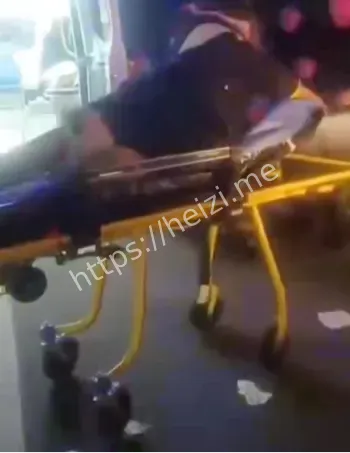 狗狗卡住急送医院