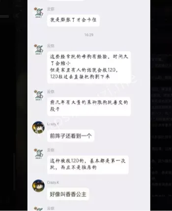 现代人宠物依赖症剖析