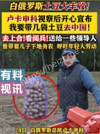 卢卡申科