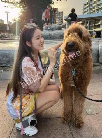 韩足协永久除名禁赛