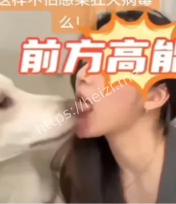 美女狗子互动感人瞬间