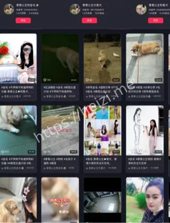 活不如狗系列美女狗子互动八卦