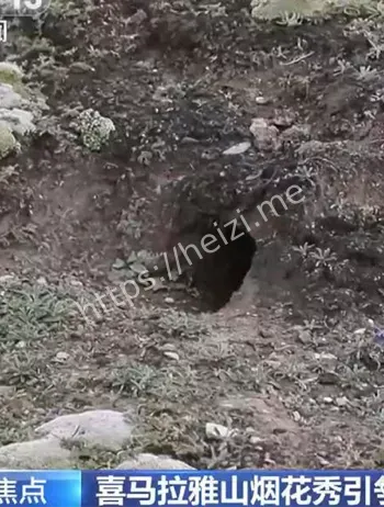 品牌公关与环保伦理