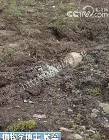 第三方评估与透明复盘