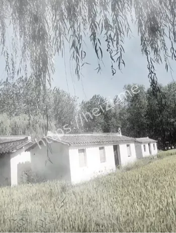 废弃茅台大厦闹鬼哭声亲历