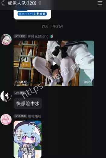 视频曝光校群热议