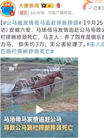 六安马场