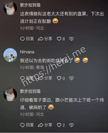 闭园多部门搜救