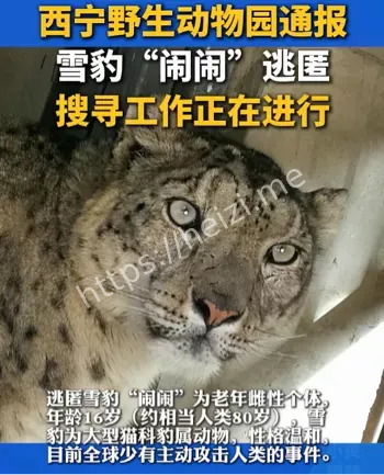 动物园安全复盘