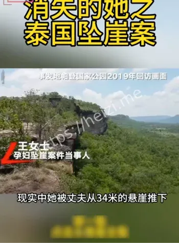 消失的她原型
