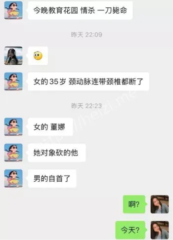 杀妻案