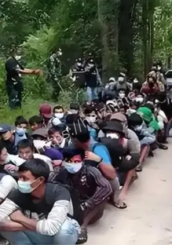 缅甸犯罪集团全家该死