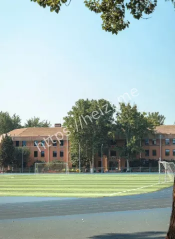 教职工拘留解聘