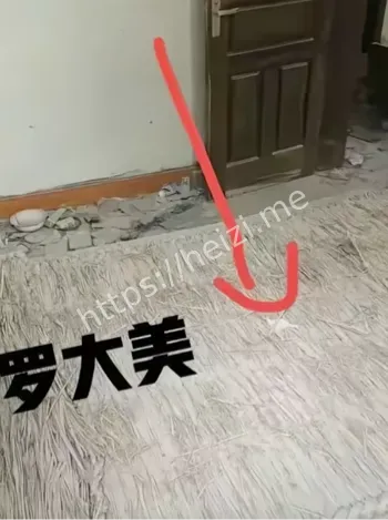 罗大美遇害案
