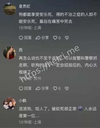 成都流浪哈士奇事件