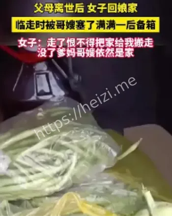 女子回老家探亲经历