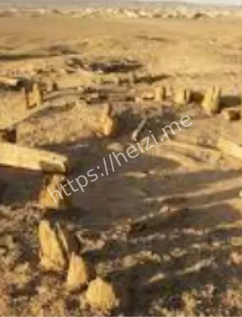 彭加木失踪植物样本