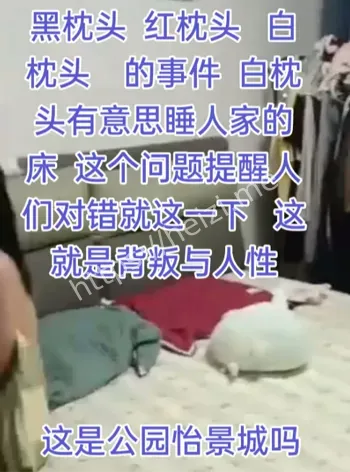 怡景城小区大瓜