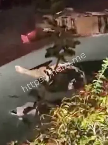 追尾皮卡高速碰撞分析