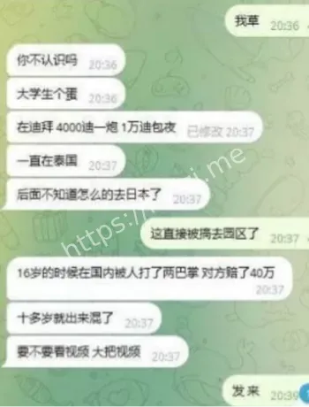 网红求生陷阱警示案例