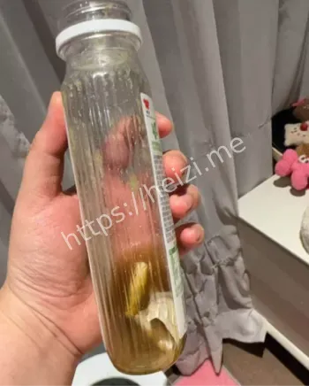 娱乐场所身份欺诈警示