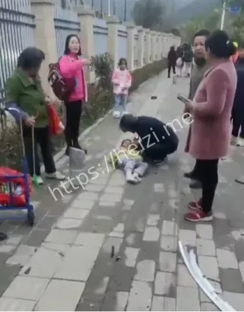 司机动机调查