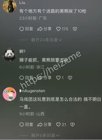 马戏团狮子出逃